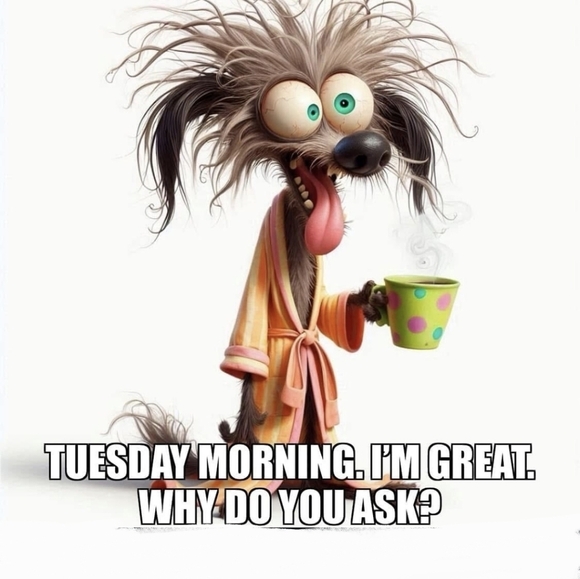 @catherinesfomo FLYER!!! - Picture 5 of 17